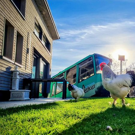 Exklusives Holzhaus Mit Bergbahn - Baden-Baden Im Schwarzwald Villa Kültér fotó